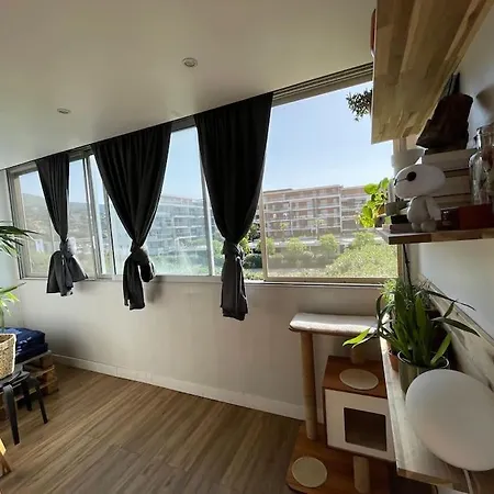 Apartment Joli Duplex De 75m2 A 10mn A Pieds De La Le Lavandou